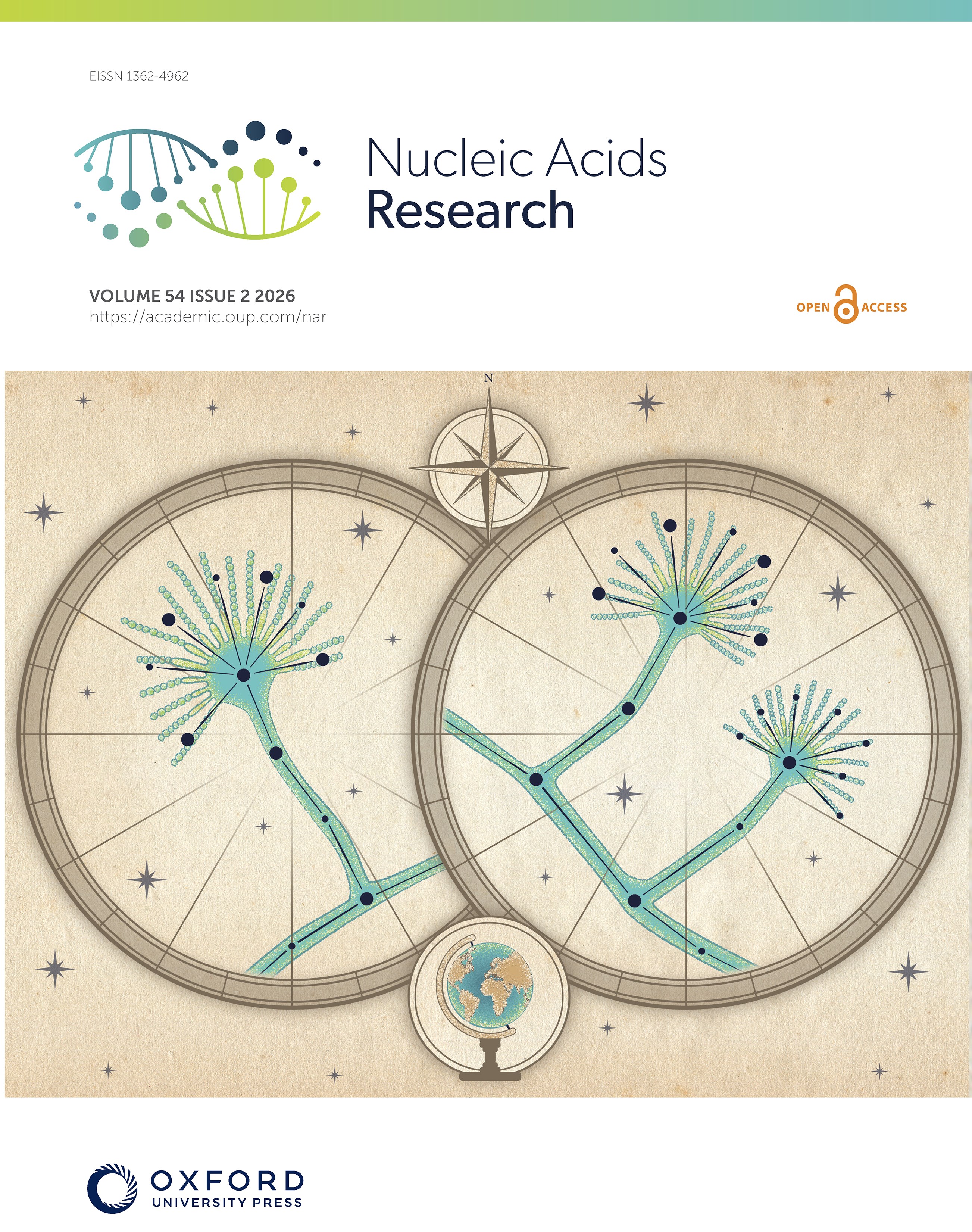 A predictive framework for stop-loss variants with C-terminal extensions