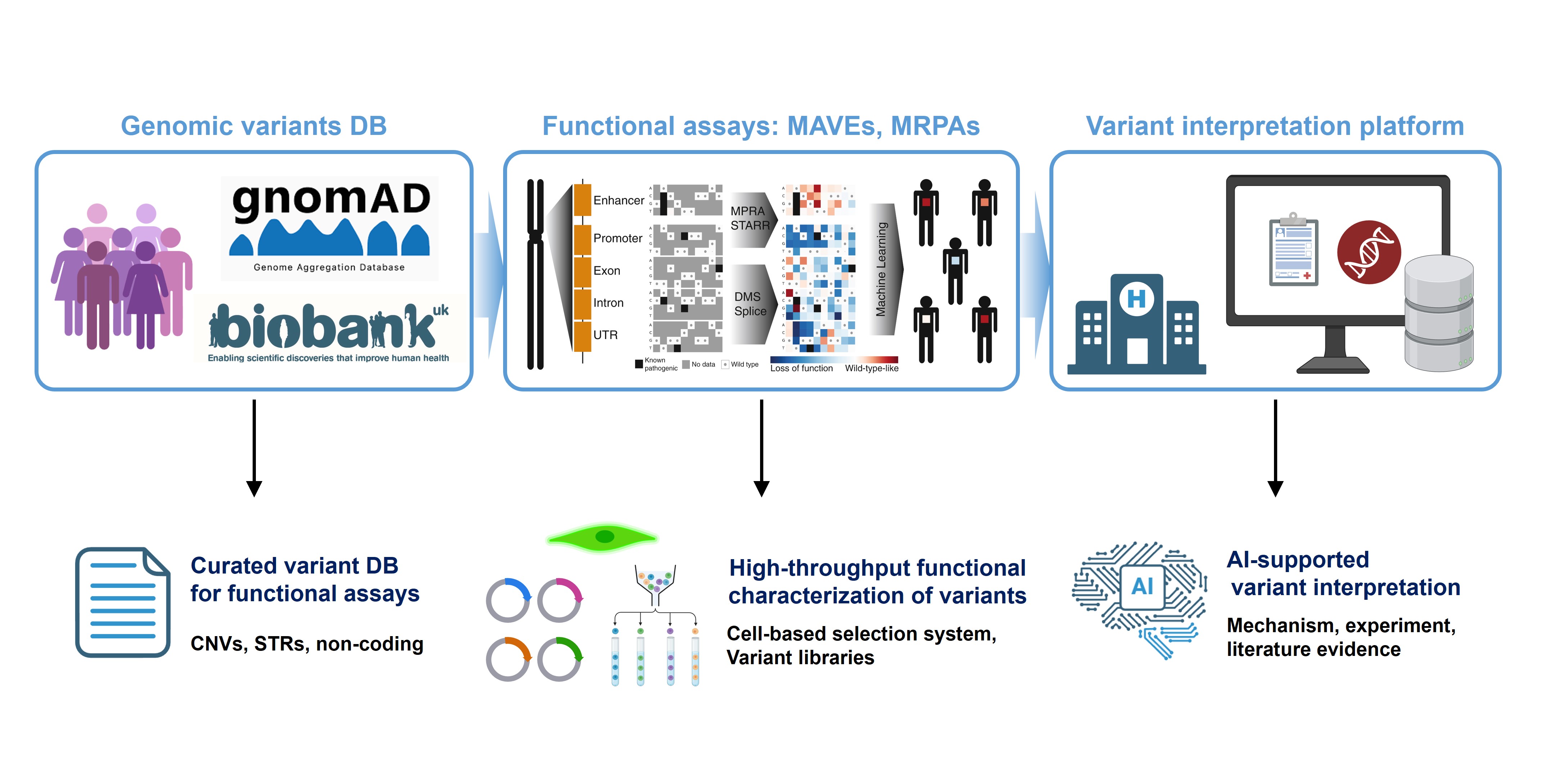 Functional Genomics Platform for Precision Medicine
